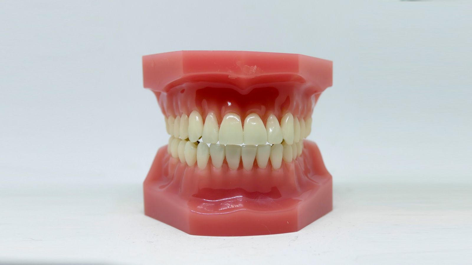 A physical dental teaching model